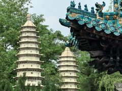 -沈阳植物园