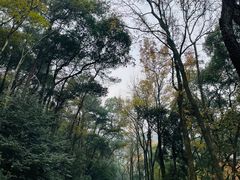 -岳麓山风景名胜区