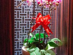 -大唐盲人按摩中心(天山路店)