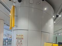 -麦当劳(北京大兴机场二层国内到达(安检外)店)