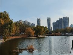 -泰丰公园
