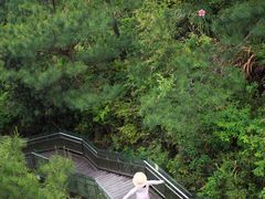 -龙川湾千岛湖国际垂钓中心