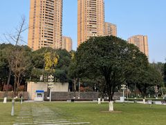 -重庆市江北嘴中央商务区中央公园
