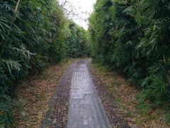 -浙江农林大学(东湖校区)