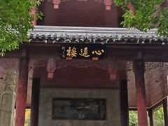 -白马涧龙池景区