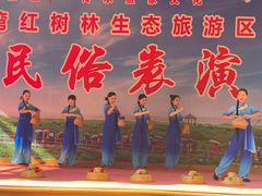 -北海金海湾红树林生态旅游区