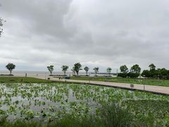 -滆湖低碳生态公园
