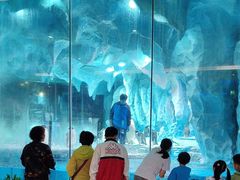 -帝企鹅自助餐厅•儿童岛•真企鹅(长隆企鹅酒店)