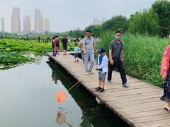 -前关湿地公园
