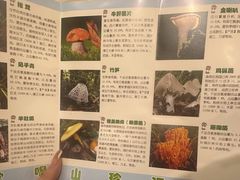 -太婆天府山珍酒楼(亚运村店)