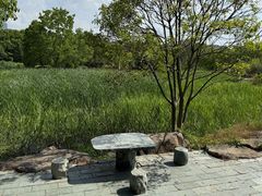 -白塘生态植物园