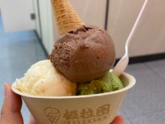 -极拉图·现制冰淇淋(梅溪湖新天地步步高店)