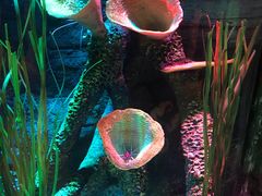 -沈阳海洋探索中心