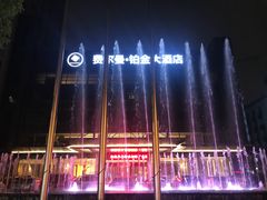 -杭州费尔曼铂金大酒店