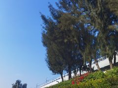 -宝安西湾红树林湿地公园