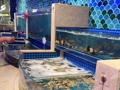 水产区-乔哥铭洋海鲜自助(皇城恒隆广场店)