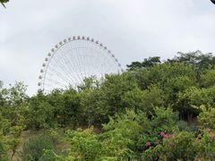 -凤岭儿童公园