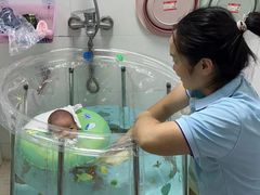 -鲸鱼妈妈月嫂/育婴师定制