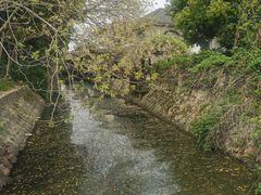 -蠡湖大桥公园