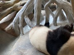 -宁波野生动物园