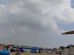-呼兰河口湿地公园