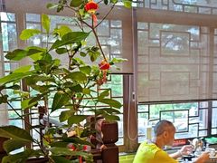 -山水茶艺馆·点心粤菜·30年老字号