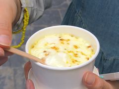 桂花酸奶-古树酸奶