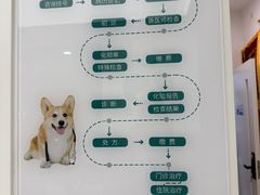-瑞派康怡24h宠物医院·犬猫医疗中心·微创绝育(瑞景分院)