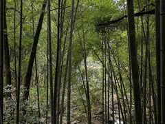 -藏龙百瀑风景区