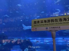 -成都浩海立方海洋公园