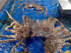 -盒马鲜生(帝斯曼店)