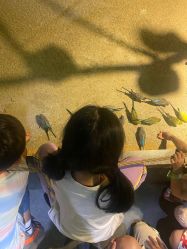 -酷嗒动物文化乐园(cutezoo西溪乐天城店)