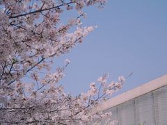 -龙美术馆(西岸馆)