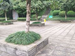 -龙头寺公园