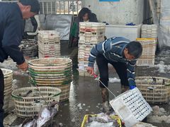 -中国舟山国际水产城