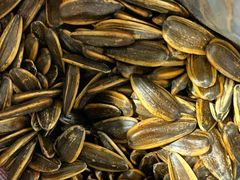 -栗满秋(燕丰西坝河店)