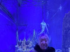 -哈尔滨波塞冬海底世界