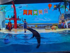 -三亚海昌梦幻海洋不夜城