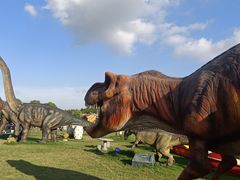 -上海海湾国家森林公园