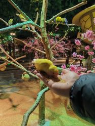 -酷嗒动物文化乐园(cutezoo西溪乐天城店)