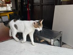 -鸣鹤古镇