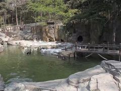 -燕塞湖鸟语林景区