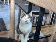 -花溪牛肉米粉(华兴东街店)