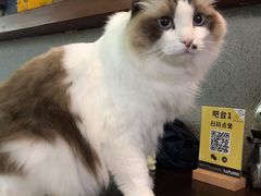 -咖法森林·咖啡  酒吧(天河店)