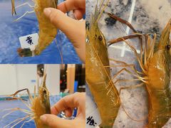 -SHRIMP CLUB万东餐饮钓虾·清吧