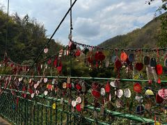 -西双版纳原始森林公园