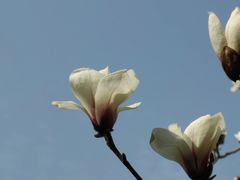 -颐和园