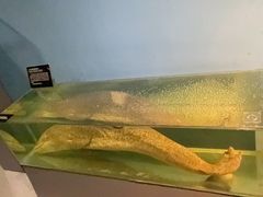 -泉城欧乐堡海洋极地世界