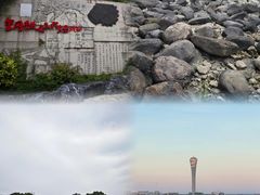 -上海吴淞炮台湾国家湿地公园