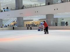 -TheRink大零溜冰场(IFS国金中心店)